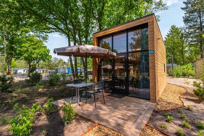 Tiny House 2