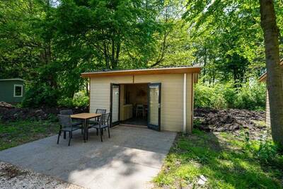 Forest Lodge 4