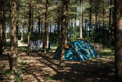 Tentkampeerplaats op de Wildenberg