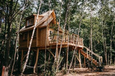 Tree House 2