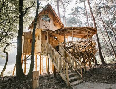 Tree House 3