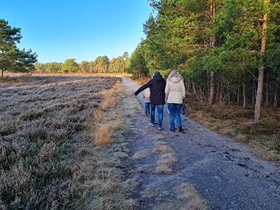 Familienspaziergänge entlang einer Heide in einem Wald in der Veluwe