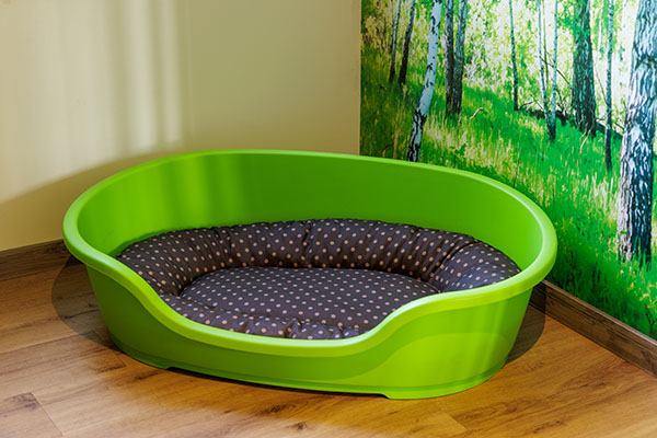 Hundekorb im Ferienhaus im Center Parcs Bispinger Heide
