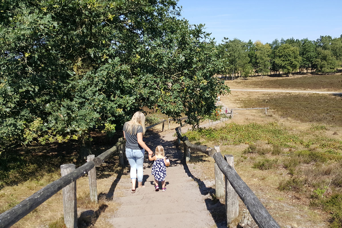 top 5 ferienparks Gelderland.jpg