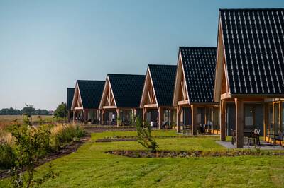 Freistehende Ferienhäuser mit überdachter Terrasse im Ferienpark EuroParcs Cadzand