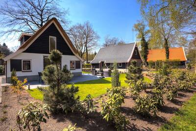 Freistehende Ferienhäuser mit großem Garten im Ferienpark EuroParcs De Hooge Veluwe