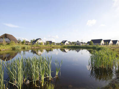 Ferienhäuser am Wasser im Ferienpark Landal Orveltermarke