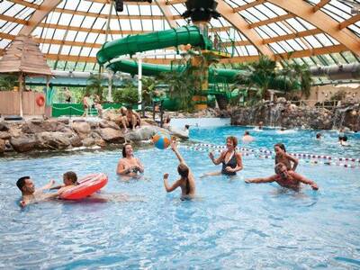 Wellenbad im subtropischen Schwimmparadies im Ferienpark Landal De Lommerbergen