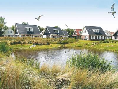 Ferienhäuser an einem Teich im Ferienpark Landal Duinpark 't Hof van Haamstede