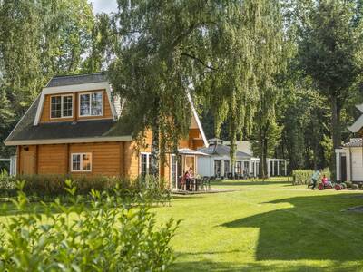 Ferienhäuser auf einer großen Wiese im Ferienpark Landal Mooi Zutendaal