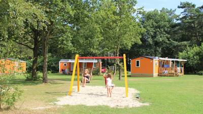 Kinder auf der Schaukel zwischen den Chalets im Ferienpark Molecaten Park De Koerberg