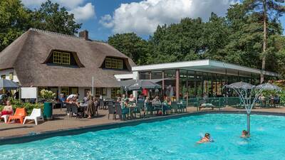 Der Außenpool befindet sich direkt neben dem Restaurant im Ferienpark Molecaten Park De Leemkule