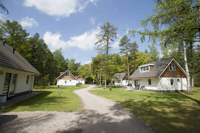 Freistehende Ferienhäuser im Ferienpark RCN het Grote Bos