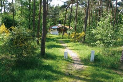 Ferienhaus im Wald im Roompot Ferienpark Herperduin