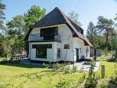 Villa für 8 Personen im Ferienpark Topparken Recreatiepark Beekbergen