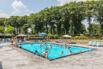 Menschen schwimmen im Freibad des Ferienparks Topparken Landgoed de Scheleberg