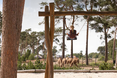 Mädchen auf einer Schaukel auf einem Spielplatz im Safari Resort Beekse Bergen