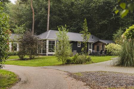 Ferienhaus Typ Kwikstaart im Ferienpark Bospark Markelo