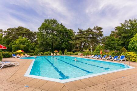 Der Außenpool des Ferienparks Bospark Markelo mit schönen Liegestühlen