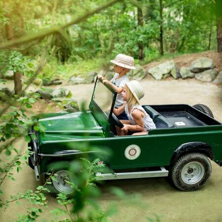 Kids Safari: Ihre Kinder werden sich wirklich wie auf einer Safari fühlen