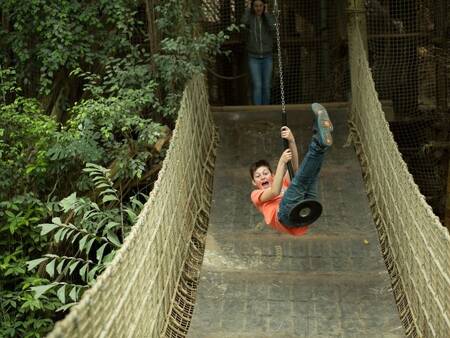 Jungle dome Center Parcs het Heijderbos