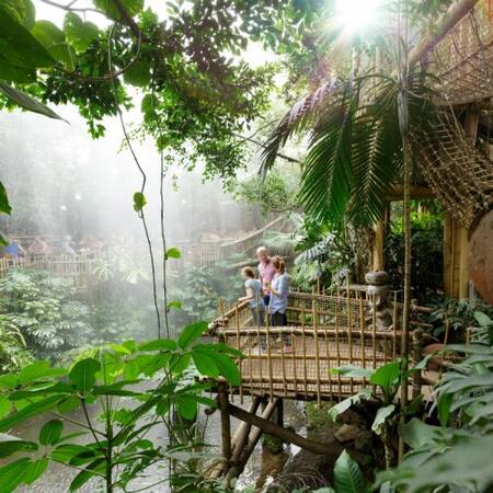 Jungle dome Center Parcs het Heijderbos
