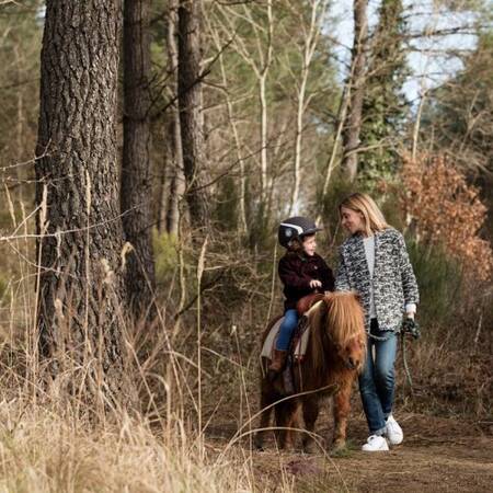 Center Parcs Le Bois aux Daims Ponyreiten