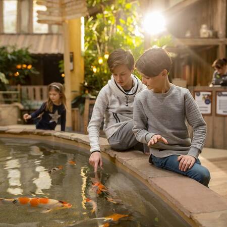 Center Parcs Les Ardennes hat einen wunderschönen Market Dome mit Restaurants und Geschäften