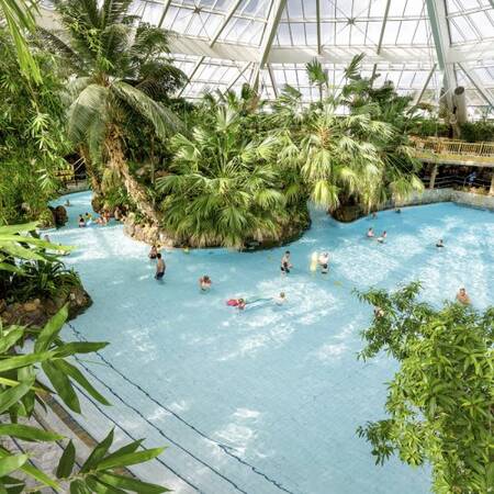 Das Aqua Mundo Schwimmparadies des Center Parcs Bispinger Heide