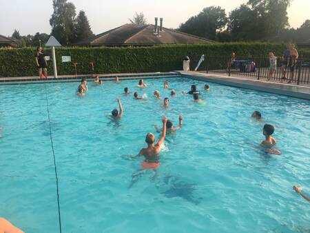 Kinder schwimmen im Außenpool des Ferienparks De Boshoek