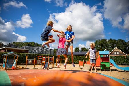 Kinder springen auf dem Lufttrampolin auf dem Spielplatz von Camping De Witte Berg