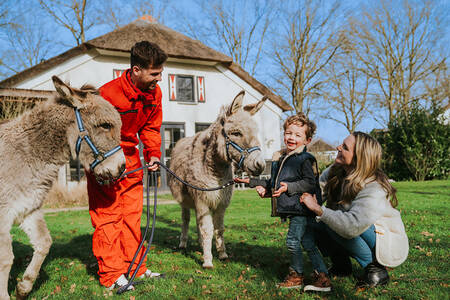 Mutter mit Kind schaut sich zwei im Ferienpark Dierenbos an