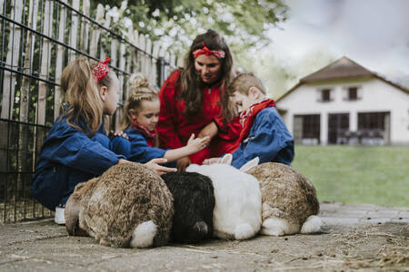 Kinder kuscheln mit Kaninchen im Ferienpark Dierenbos