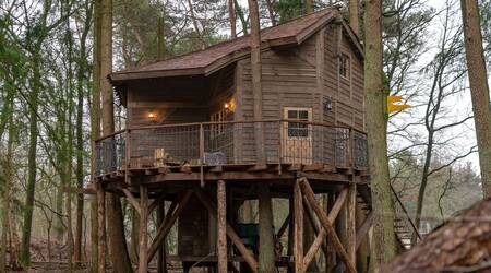 Machen Sie unvergessliche Erinnerungen im Baumhaus im Ferienpark Drouwenerzand