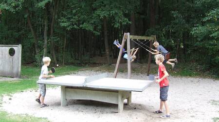 Spielplatz mit Tischtennisplatte und Schaukel im Ferienpark Drouwenerzand