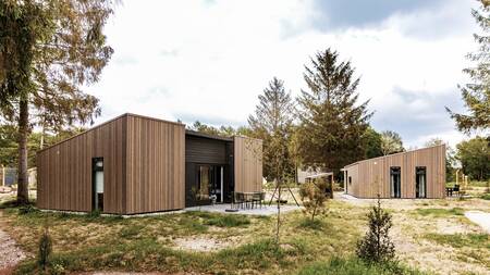 Ferienhäuser im Grünen im Ferienpark Dutchen Park de Zeegser Duinen