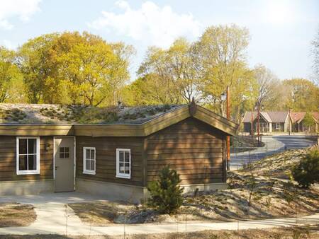 6-Personen-Hütte im Ferienpark Efteling Loonsche Land