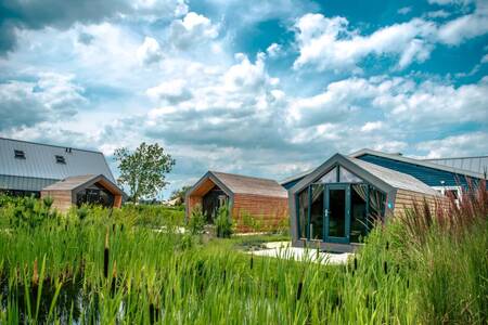 Ferienhäuser vom Typ "Beach House" im Ferienpark EuroParcs Bad Hulckesteijn