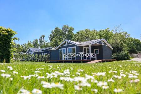 Ein Ferienhaus im Ferienpark EuroParcs Bad MeerSee