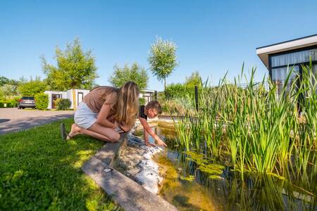 Kinder an einem Teich im Ferienpark EuroParcs Bad MeerSee