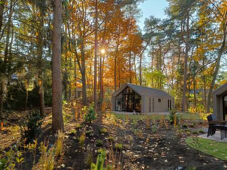 Chalet vom Typ "Forest Lodge" im Ferienpark Europarcs EuroParcs Beekbergen