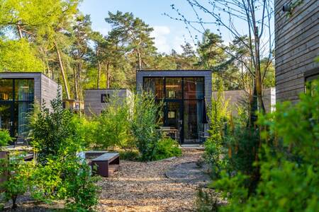 Mehrere Tiny Houses im Ferienpark EuroParcs Beekbergen