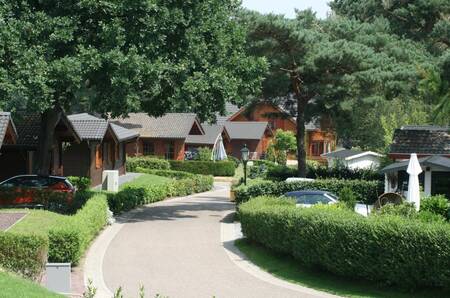 Ferienhäuser an einer Allee im Ferienpark EuroParcs Brunssummerheide