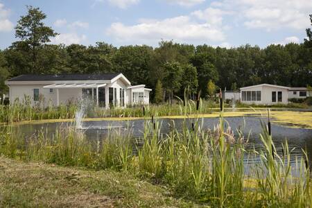 Chalets am Wasser im Ferienpark EuroParcs De Biesbosch