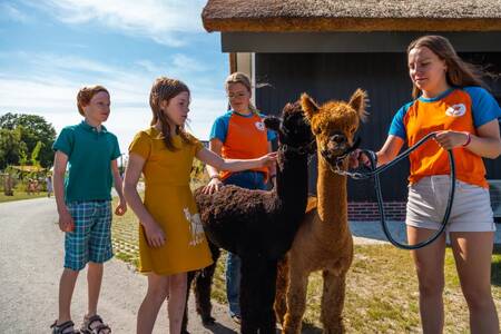 Kinder mit dem Animationsteam im Ferienpark EuroParcs De IJssel Eilanden