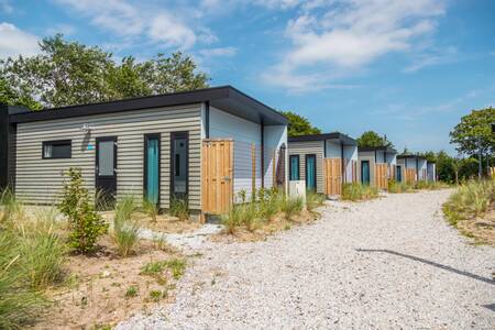 Chalets an einer Allee im kleinen Ferienpark EuroParcs De Koog