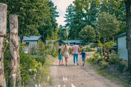 Familienwanderungen auf einem Pfad zwischen Chalets im Ferienpark EuroParcs De Utrechtse Heuvelrug