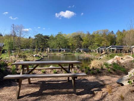 Picknicktisch an einem Teich im Ferienpark EuroParcs De Utrechtse Heuvelrug