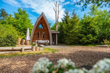 Chalet Typ "Van Gogh" im Ferienpark EuroParcs De Wije Werelt