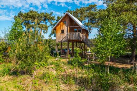 „De Zwerfhut“ eine Art Baumhaus auf Beinen im Ferienpark EuroParcs De Wije Werelt